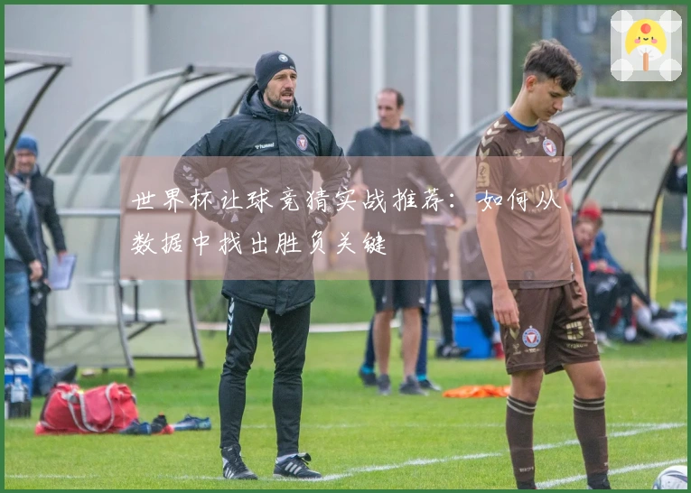 世界杯让球竞猜实战推荐：如何从数据中找出胜负关键