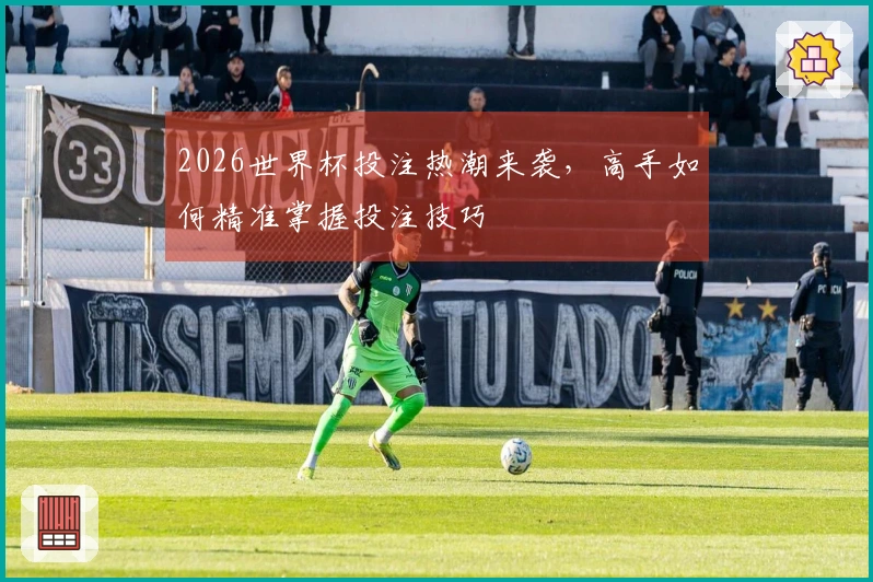 2026世界杯投注热潮来袭，高手如何精准掌握投注技巧