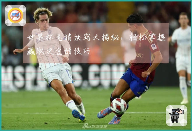 世界杯竞猜诀窍大揭秘，轻松掌握赢取奖金的技巧